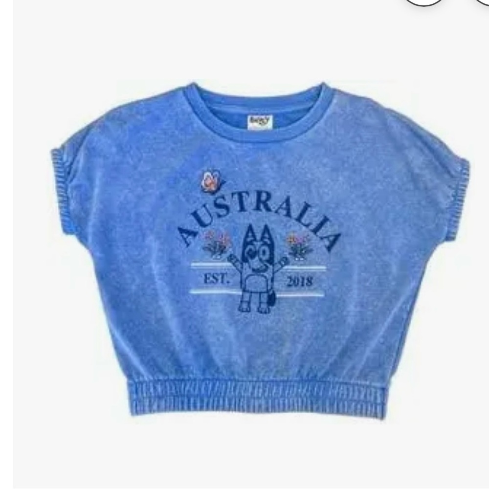 💕🔥4/$20 
Girls NWT Bluey Top Size 4/5